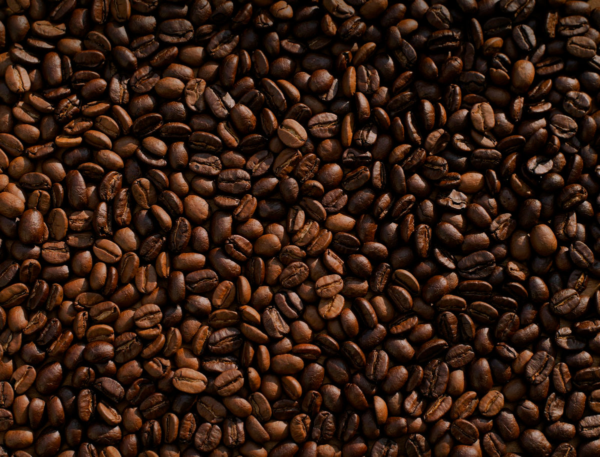 Whole Bean Guide